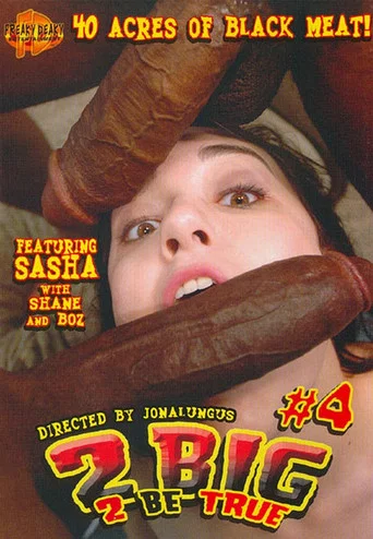 Movie poster for 2 Big 2 Be True 4 (2007)