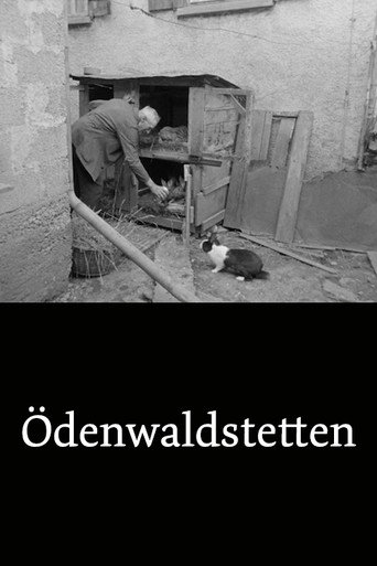 Movie poster for Ödenwaldstetten (1964)