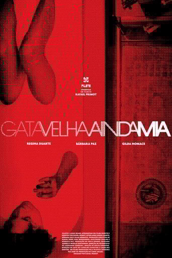 Never Too Old to Meow poster