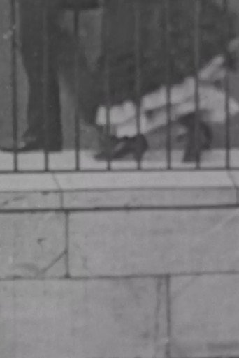 Movie poster for Photograph Taken From An Area Window (1901)
