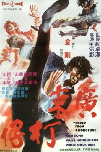 Movie poster for The Boxer from Kwangtung (1973)