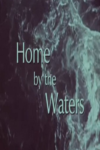 Movie poster for Home by the Waters (1971)