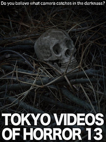 Movie poster for Tokyo Videos of Horror 13 (2015)