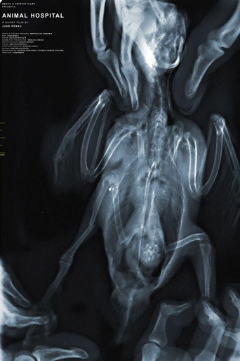 Movie poster for Animal Hospital (2023)