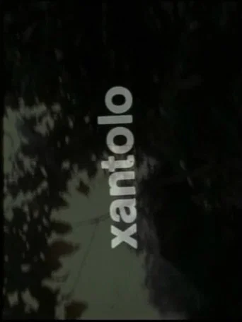 Xantolo, fiesta de la muerte poster