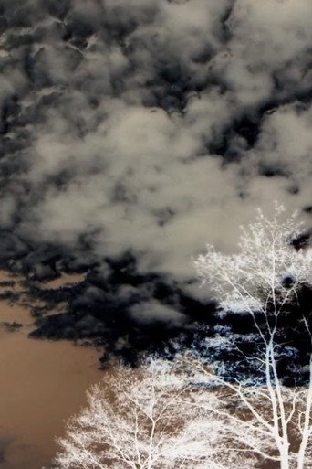Movie poster for Clouds and Trees (2020)