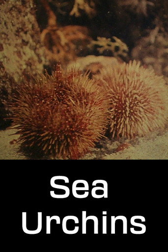 Movie poster for Sea Urchins (1954)