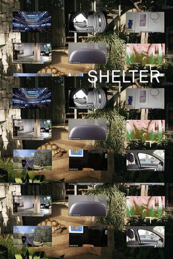 Movie poster for Shelter (2021)