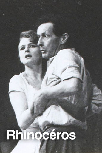 Rhinocéros poster