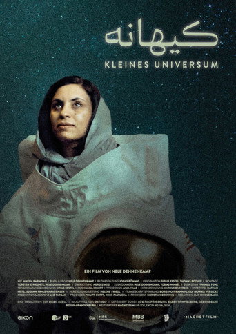 Movie poster for Little Universe (2025)