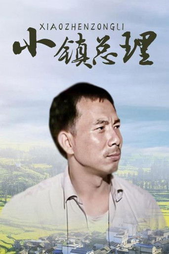 小镇总理 poster