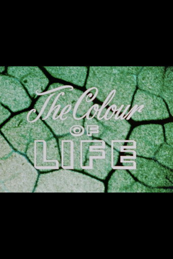 Movie poster for The Colour of Life (1955)