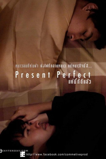 Movie poster for Present Perfect (2012)