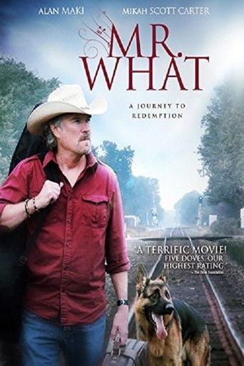 Movie poster for Mr. What (2015)