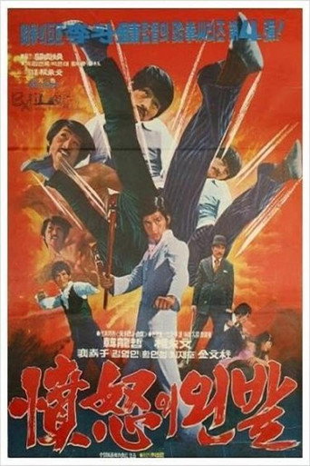 Movie poster for Left Foot of Wrath (1974)