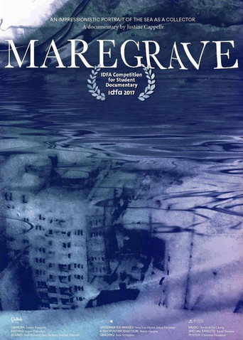 Movie poster for Maregrave (2017)