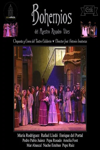 Movie poster for Bohemios de José Antonio Irastorza (1995)