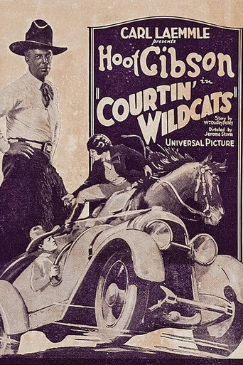 Movie poster for Courtin' Wildcats (1929)