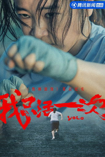 YOLO: I Only Live Once poster