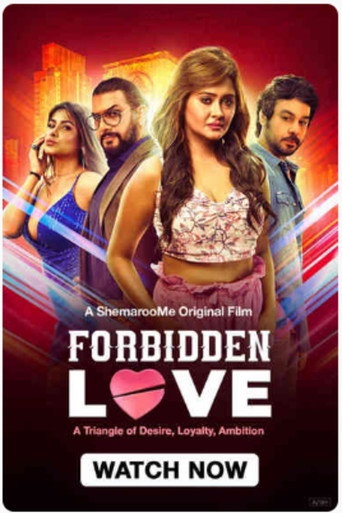Movie poster for Forbidden Love (2024)