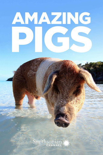 Movie poster for Amazing Pigs (2018)