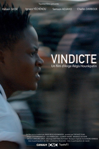 Movie poster for Vindicte (2016)
