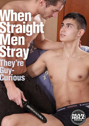 Movie poster for When Straight Men Stray (2015)