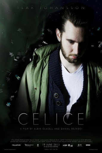 Movie poster for Celice