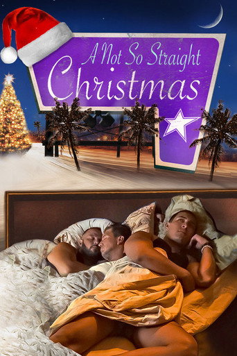 A Not So Straight Christmas poster