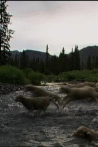 Movie poster for Hell Roaring Creek (2010)