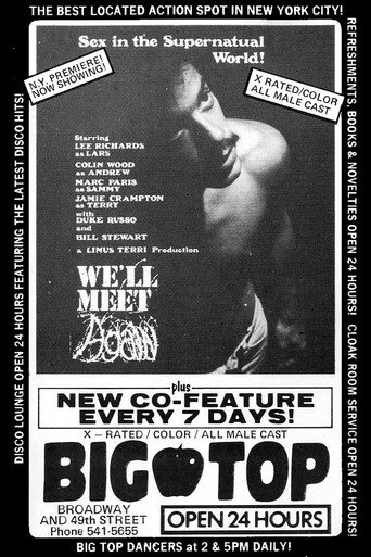 Movie poster for We'll Meet Again (1978)