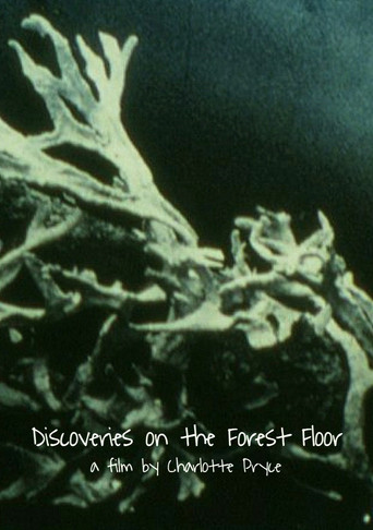 Movie poster for Discoveries on the Forest Floor 1-3 (2006)