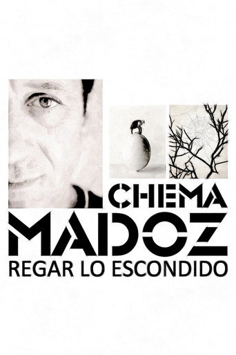 Movie poster for Chema Madoz: regar lo escondido (2013)