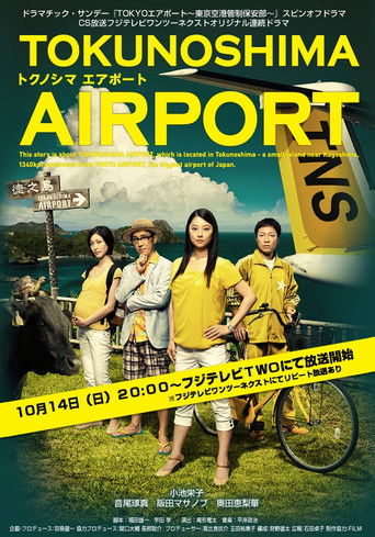 TOKUNOSHIMA Airport poster