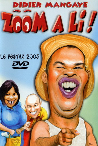 Movie poster for Zoom a li ! (2005)