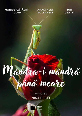 Movie poster for Mândră-i Mândra Până Moare (2024)