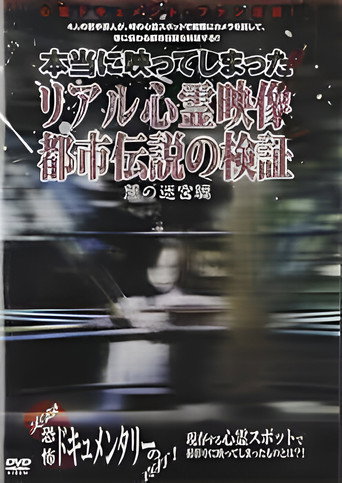 Movie poster for Investigation of Real Supernatural Footage and Urban Legends: Labyrinth of Darkness Edition (2008)
