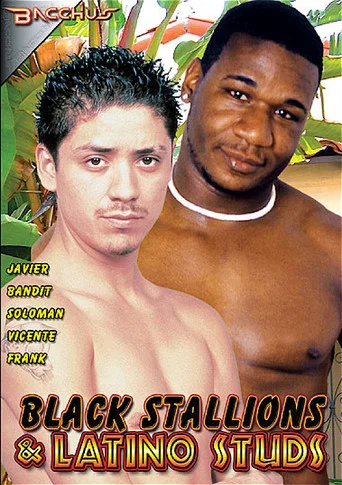 Movie poster for Black Stallions & Latino Studs (2012)