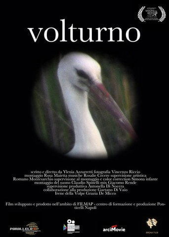 Movie poster for Volturno