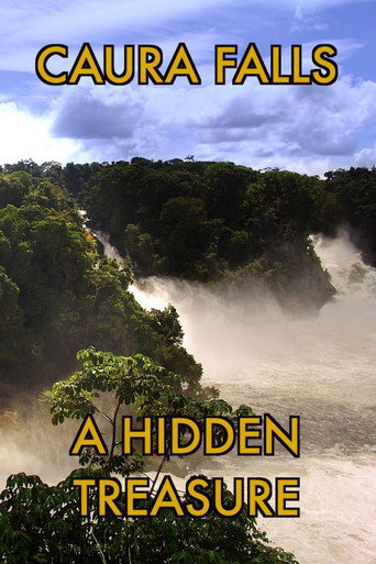 Movie poster for Caura Falls, a Hidden Treasure (2014)