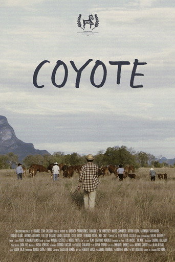 Movie poster for Coyote