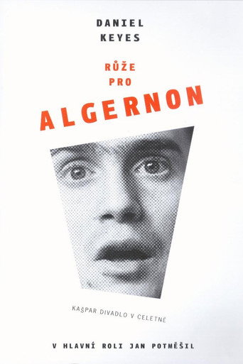 Růže pro Algernon poster