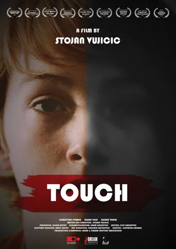 Movie poster for Touch (2016)