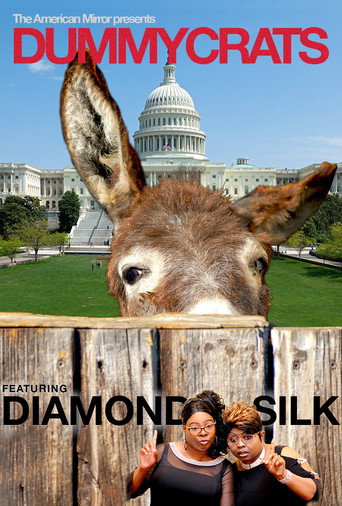 Movie poster for Dummycrats (2018)
