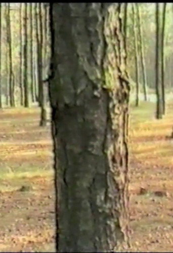 Movie poster for Dancing with Trees (1985)