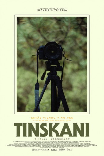 Tinskani: Afterimage poster