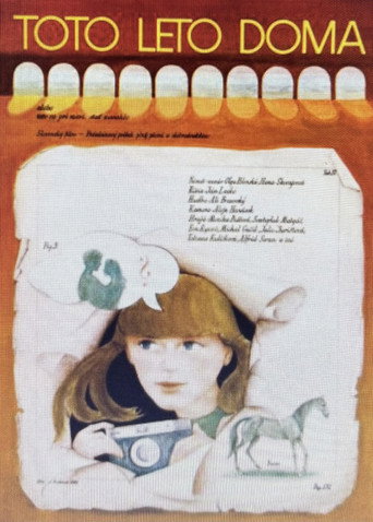 Toto leto doma poster