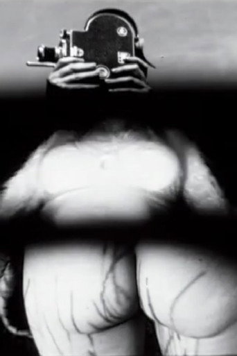 Movie poster for Film-Landscape-People: an Exquisite Corpse (2008)