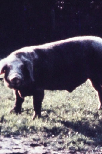 Movie poster for Schweineschnitzel (1971)