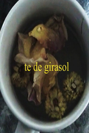 Movie poster for te de girasol (2025)